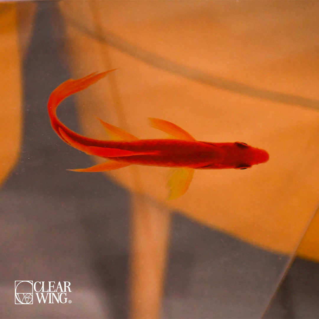 Acrylic Trinity Table