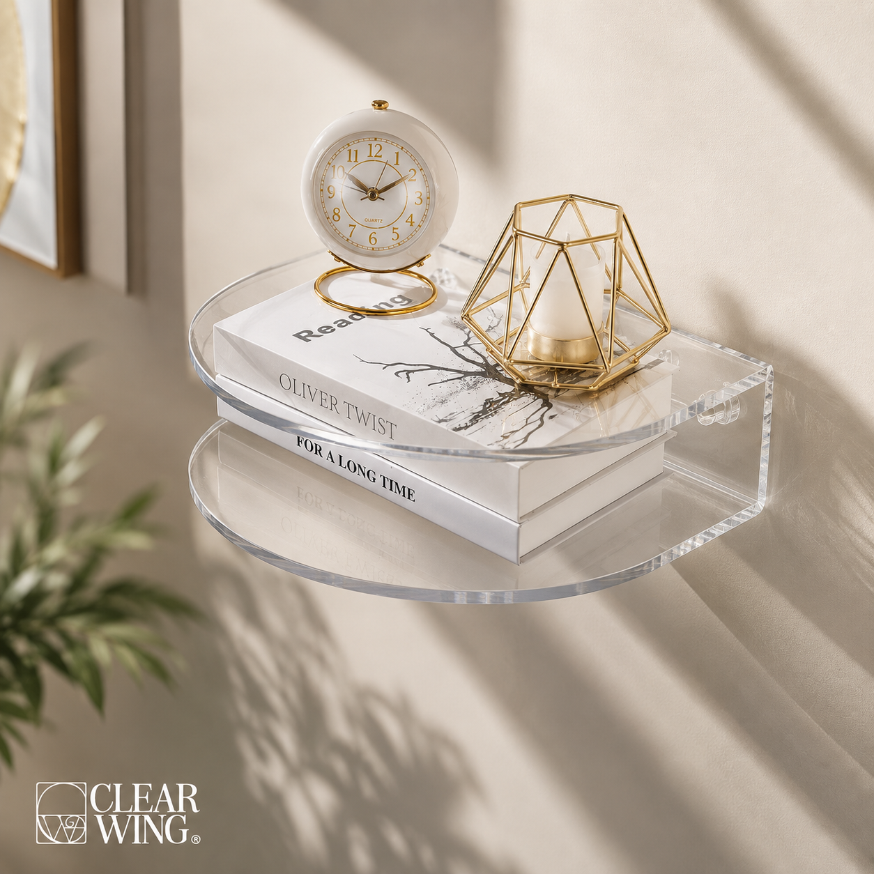Acrylic Plexi Wall- Curved Shelf